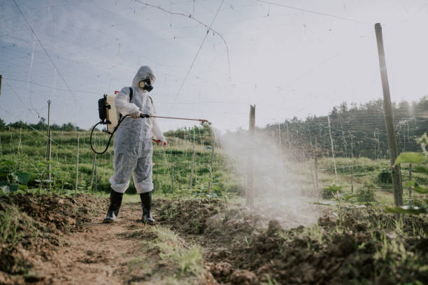 Best Ant Control Services  in New Athens, IL