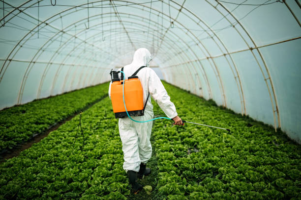Best Pest Control Cost  in New Athens, IL