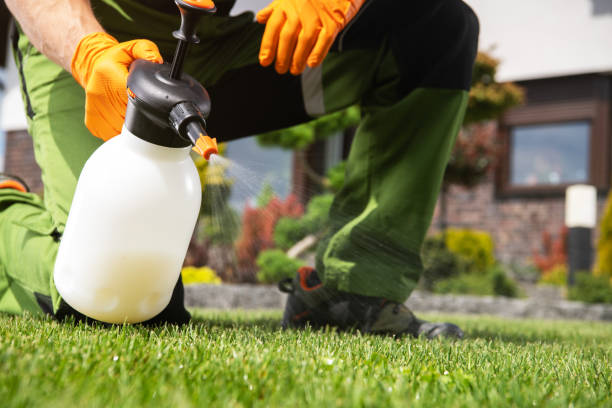 Best Exterminator Services  in New Athens, IL