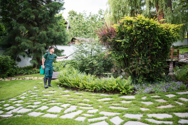 Best Affordable Pest Control Services  in New Athens, IL