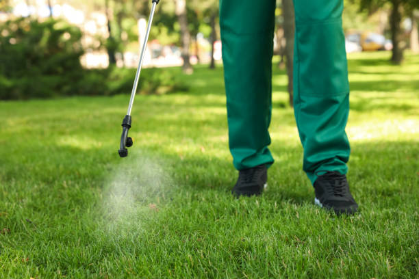 Wasp Removal Services in New Athens, IL
