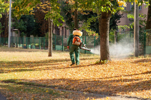 Reliable New Athens, IL Pest Control Solutions