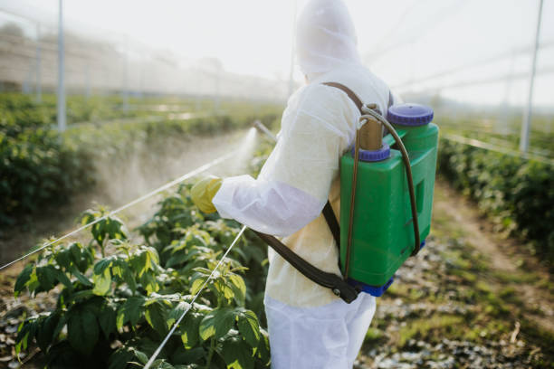 Best Commercial Pest Control Services  in New Athens, IL